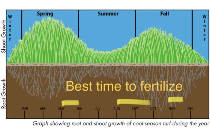 Lawn fertilizing Timing
