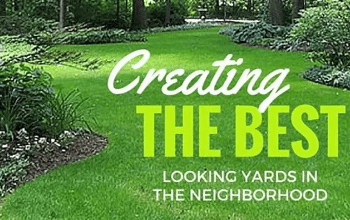 Shady Lawn