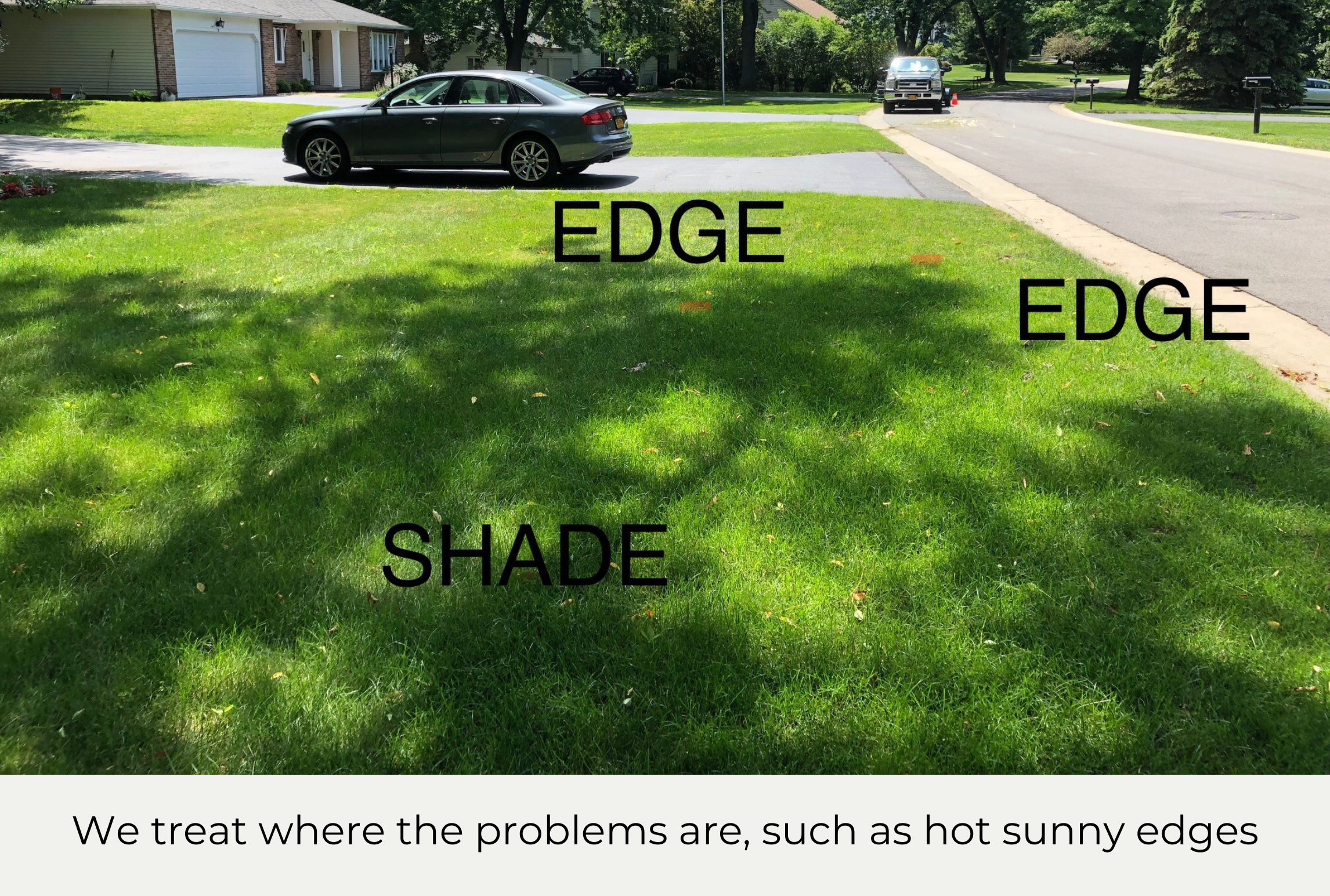 Crabgrass Treatment and Lawn Care