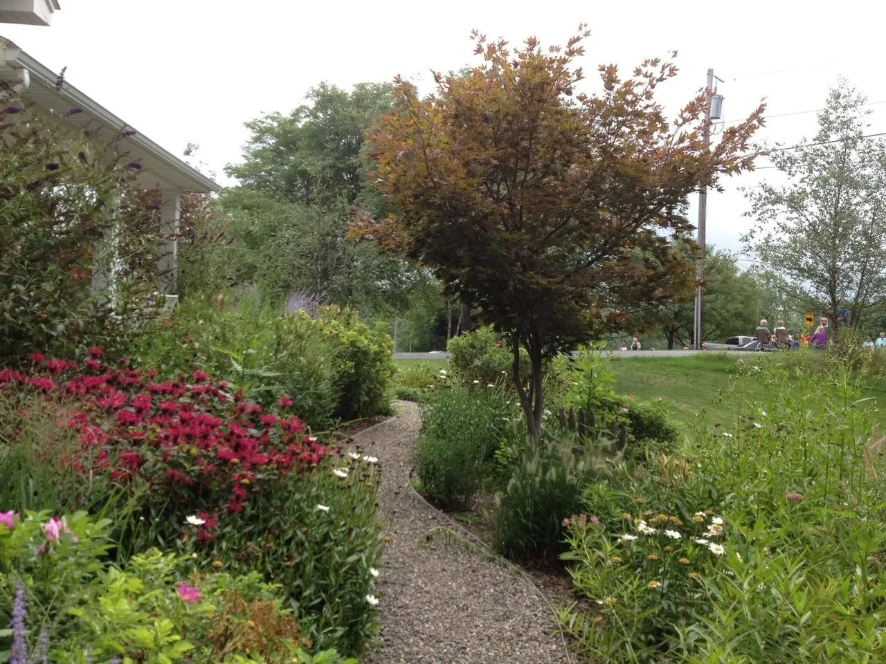 B-Friendly Farm and Gardens