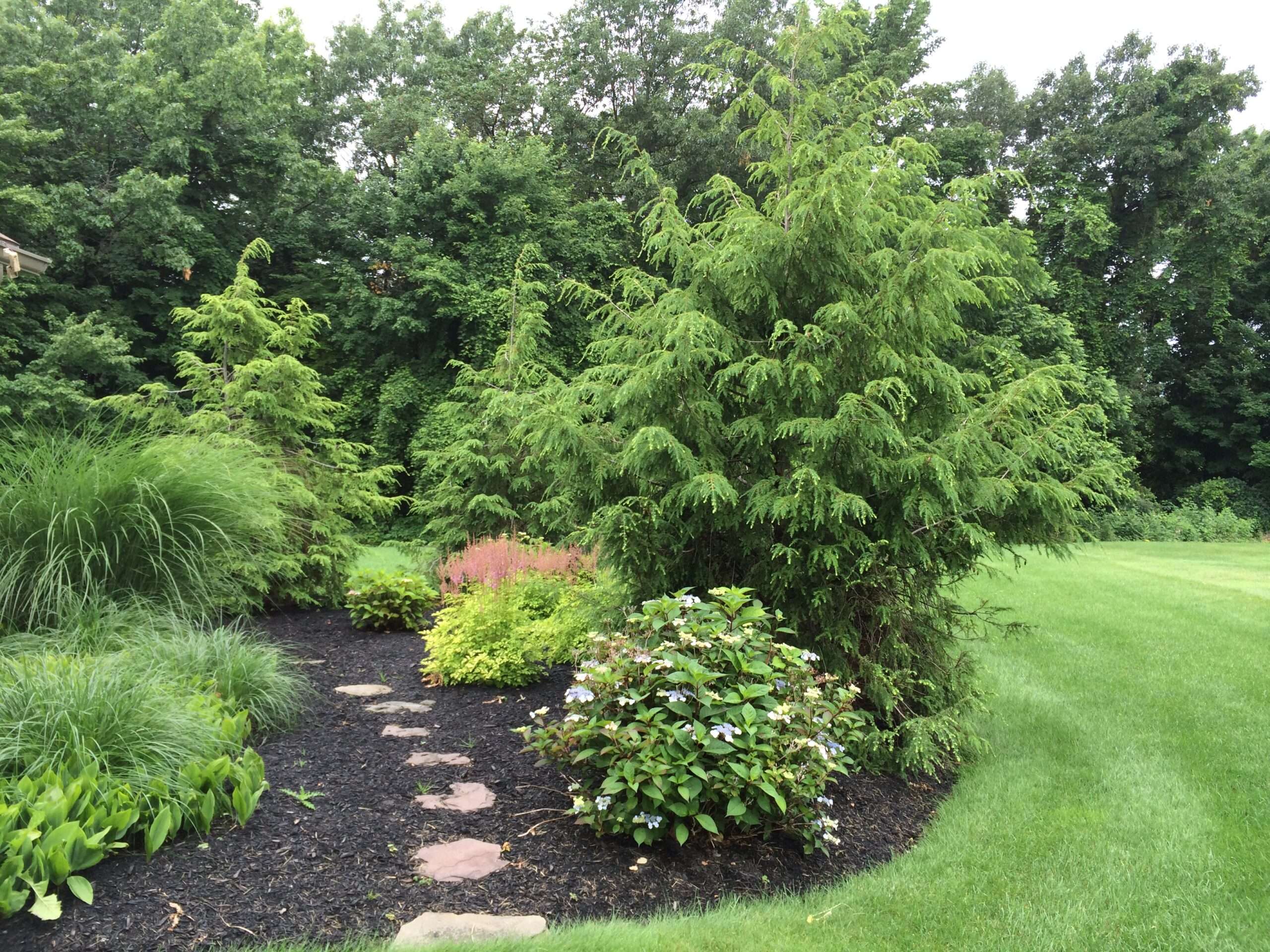 B-Friendly Farm and Gardens