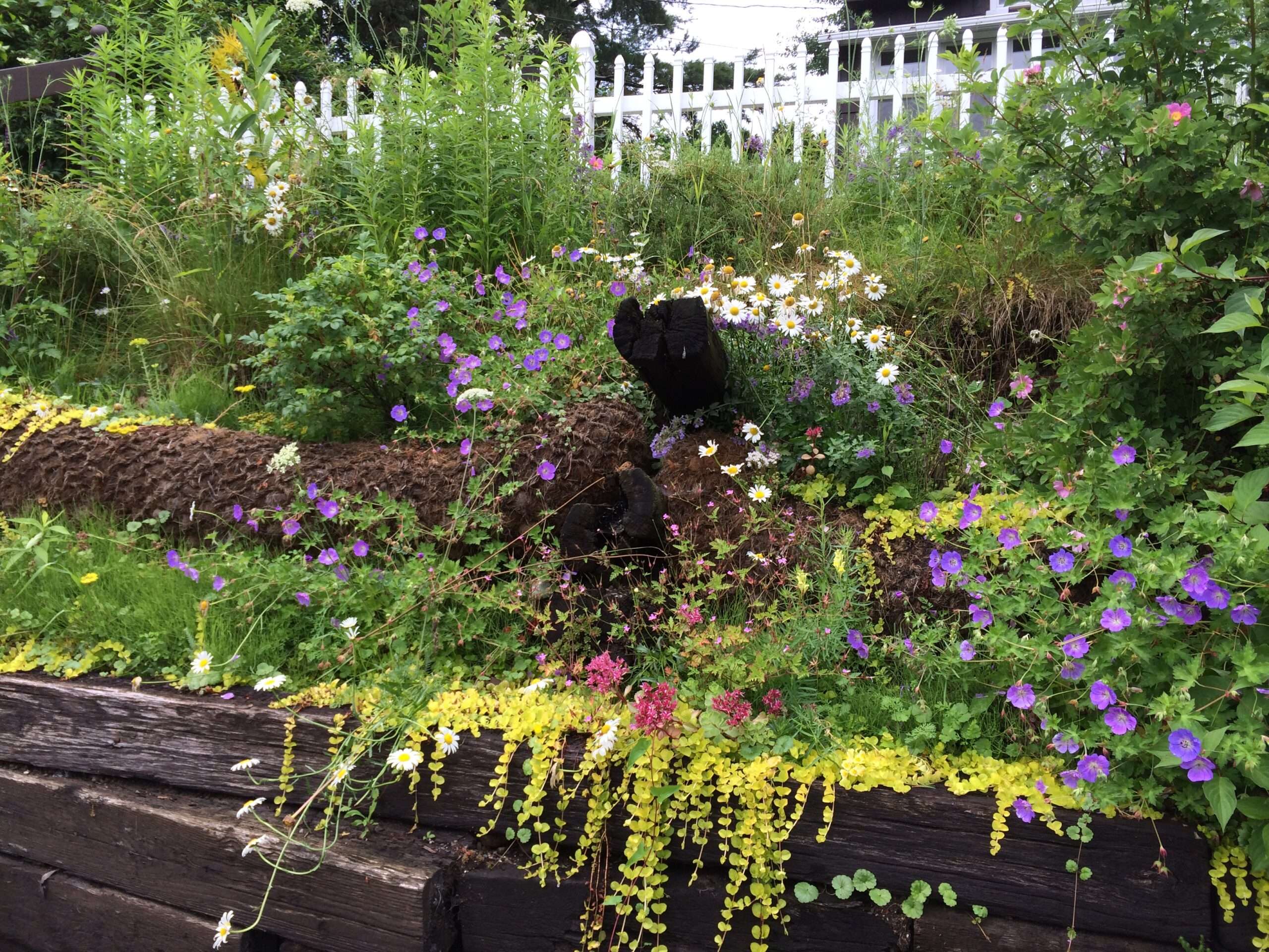 B-Friendly Farm and Gardens