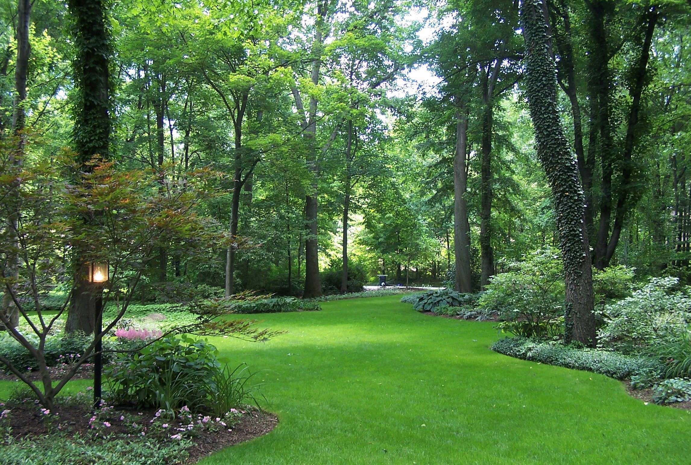 Shady Lawn