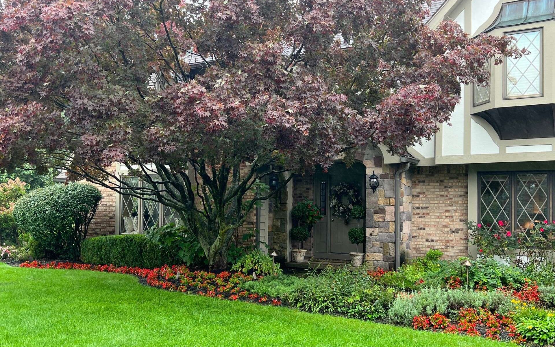 Green Lawn Under Tree