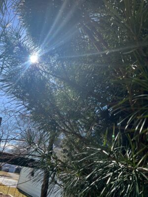 Screenshot_11-10-2025_101232_content.app-us1.com