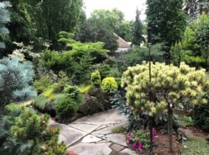 Screenshot_11-10-2025_101525_content.app-us1.com