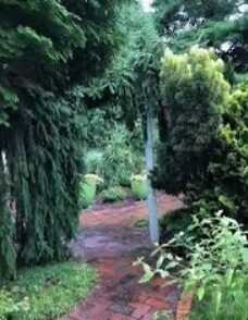 Screenshot_11-10-2025_101535_content.app-us1.com