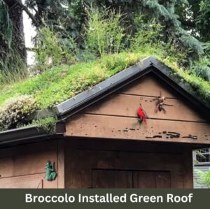 Screenshot_11-10-2025_10944_content.app-us1.com