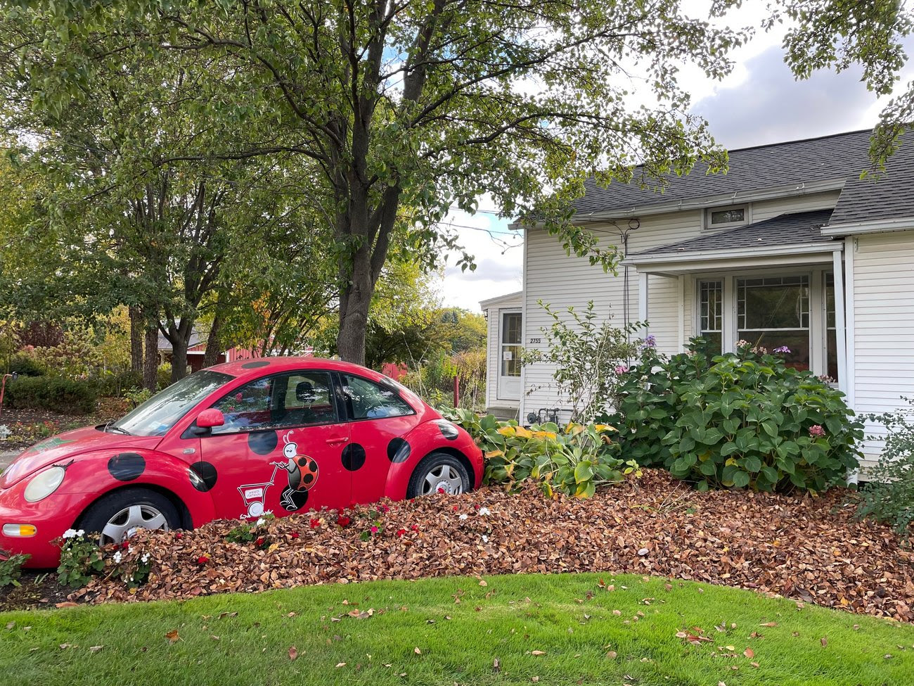 Leaf Education and Featured Project