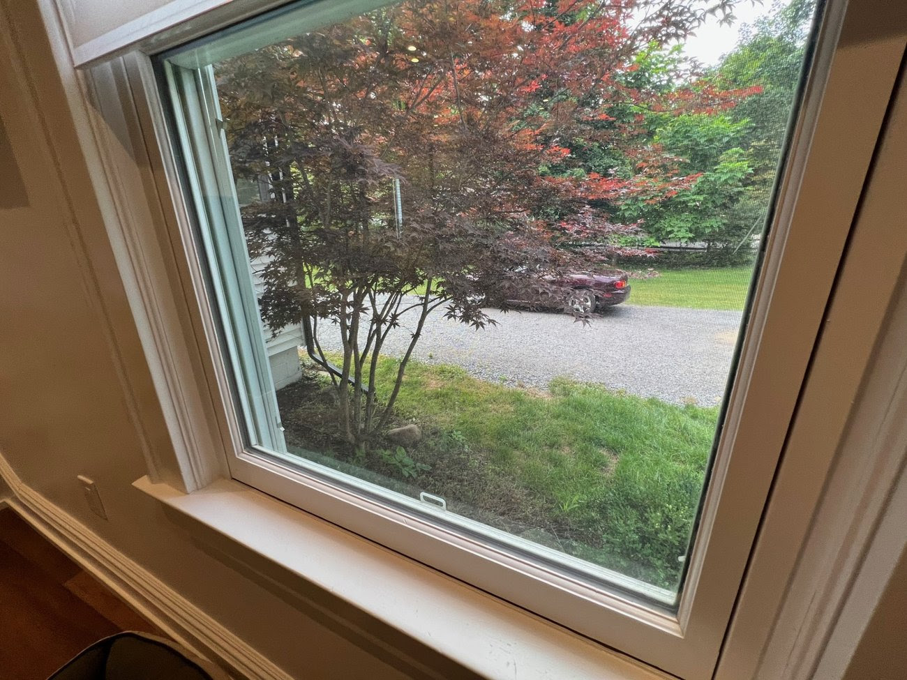 What is That? Look out the window!