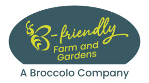 The extraordinary caterpillar