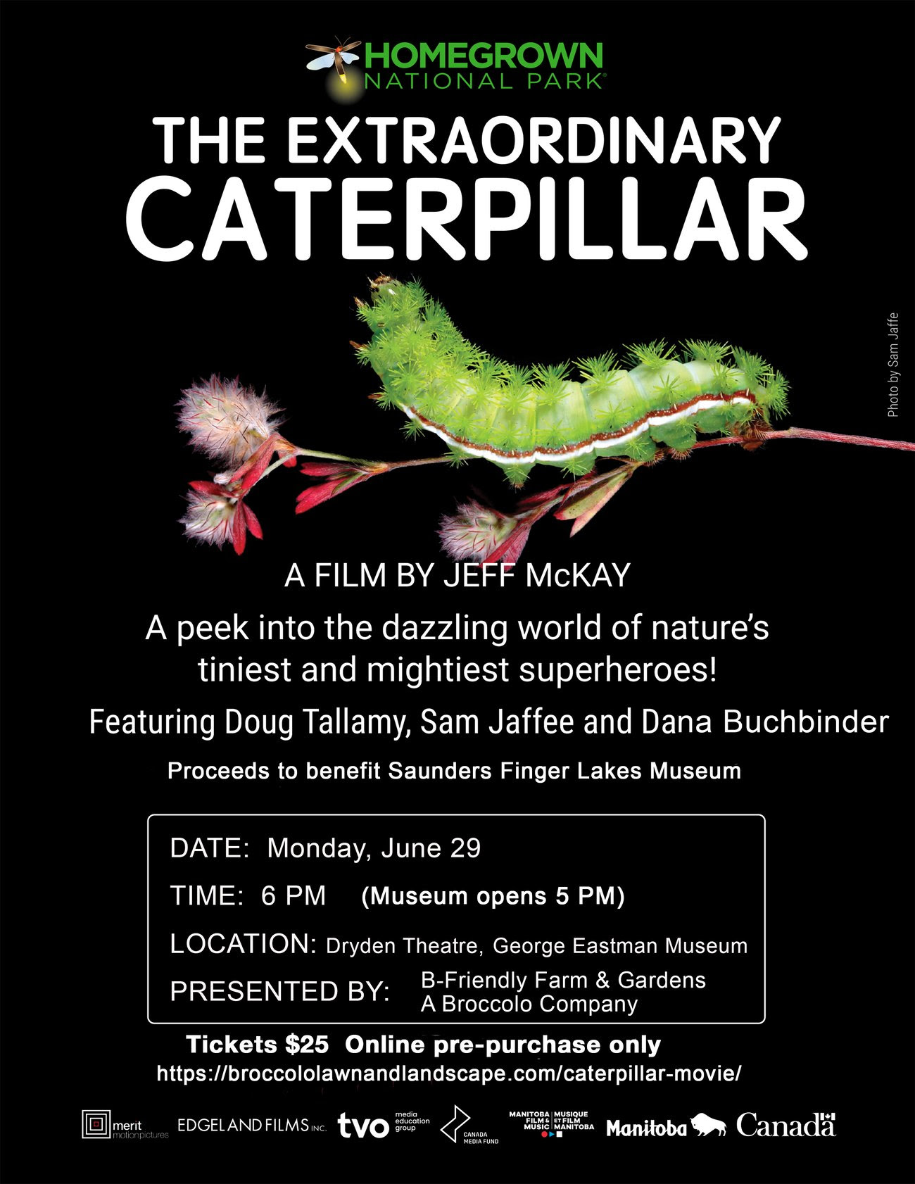 We present the Rochester Premiere of: The Extraordinary Caterpillar