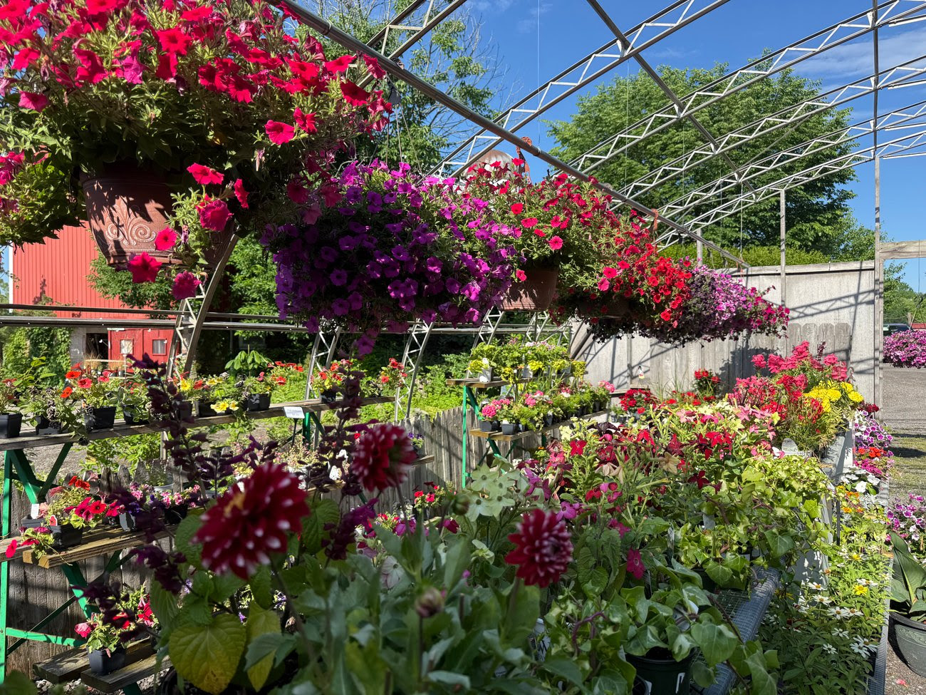 Last week of spring!&nbsp;