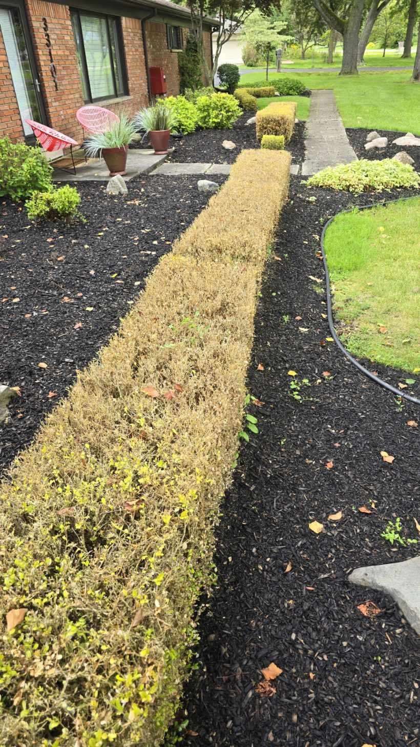 Diversity in your Garden… Don’t be Boring!