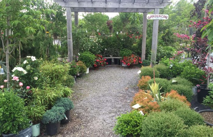 B-Friendly Farm and Gardens