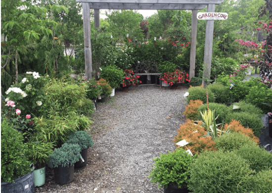 Screenshot 2025-02-25 014119