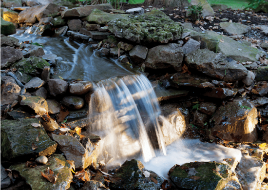 Screenshot 2025-02-25 014154