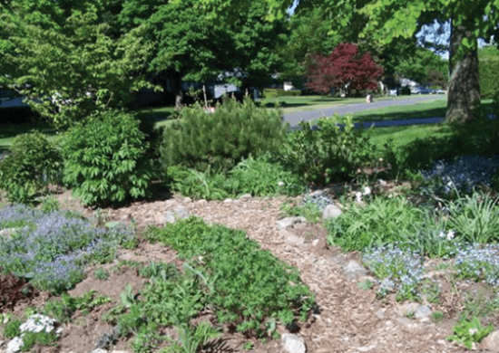 Screenshot 2025-02-25 020905