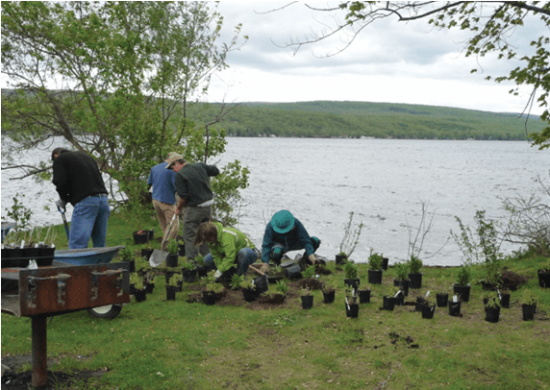 Screenshot 2025-02-25 020933