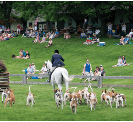 Screenshot 2025-02-25 020948