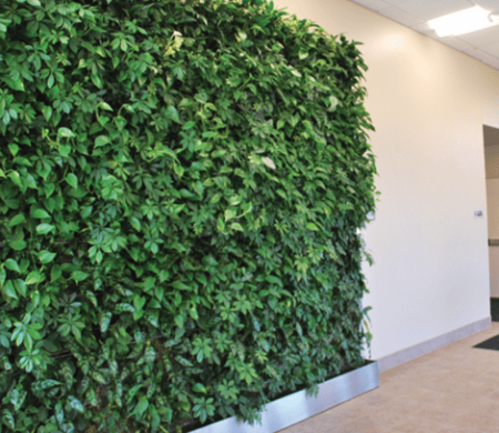 Screenshot 2025-02-25 020956