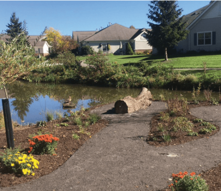 Screenshot 2025-02-25 021010