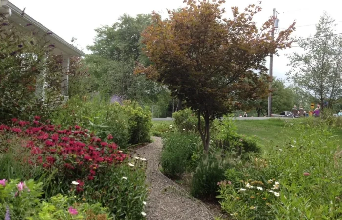 B-Friendly Farm and Gardens