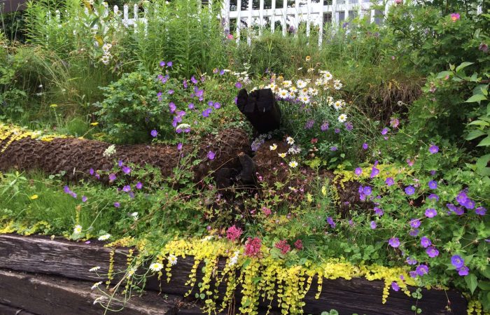 B-Friendly Farm and Gardens