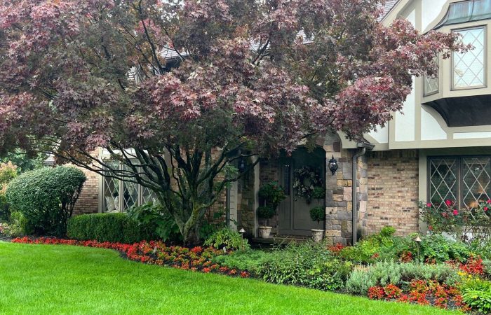 B-Friendly Farm and Gardens